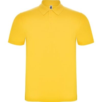 Polo Austral