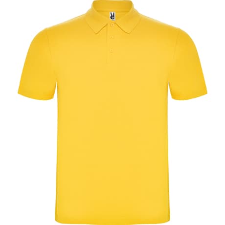 Polo Austral