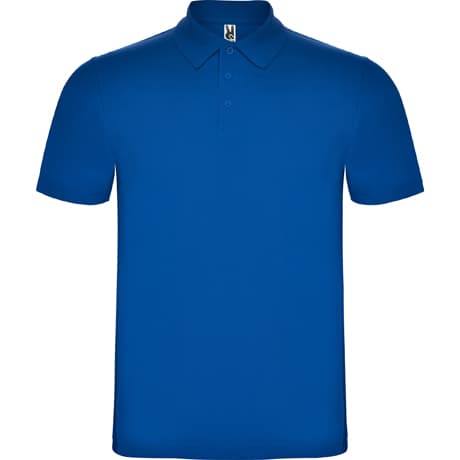 Polo Austral — изображение 21