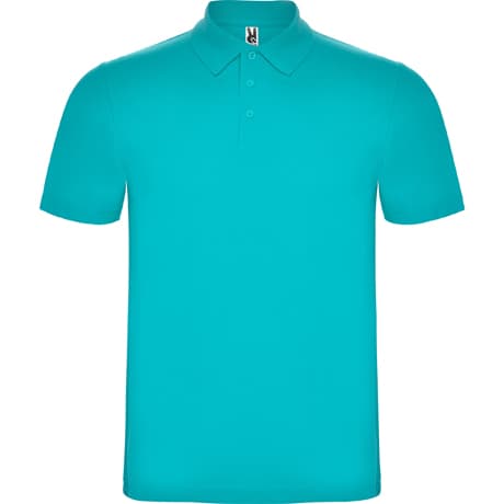 Polo Austral — изображение 17