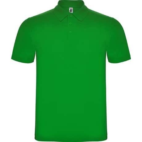 Polo Austral — изображение 29